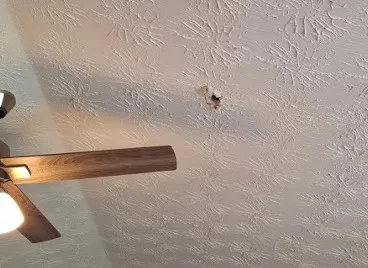 Meteorit cestoval dostatečně rychle v úhlu, že dokázal projít střechou majitele domu, potrubí a stropem.