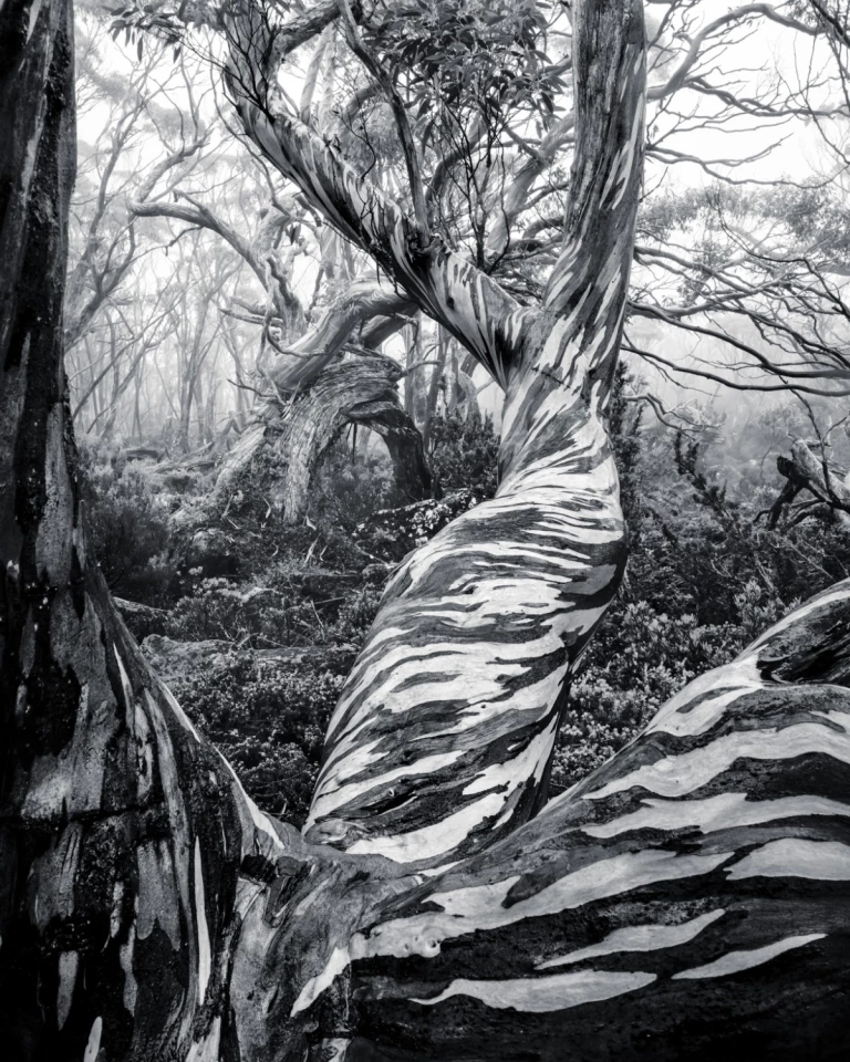 Fotograf roku, vítěz, 2025 Natural Landscape Photography Awards